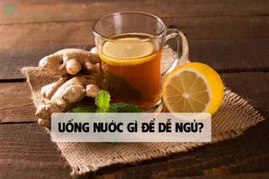 Các loại nước uống từ lá giúp bạn ngủ ngon và sâu hơn