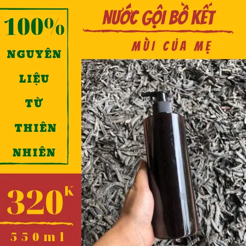 Dầu gội bồ kết cô đặc (100% THIÊN NHIÊN)