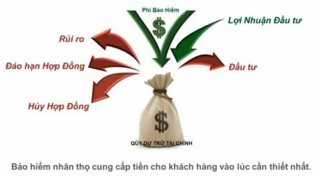 Dịch Vụ Bảo Hiểm Nhân Thọ Manulife Chi Nhánh Tại Đồng Nai