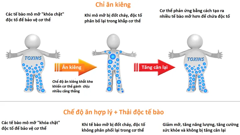 Liệu trình giảm béo bao nhiêu tiền thì hiệu quả