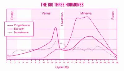 Ở mỗi giai đoạn, ảnh hưởng của Hormone tới làn da của chúng ta như thế nào?